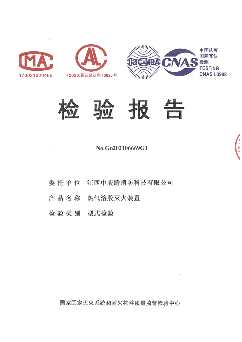 小氣溶膠30g檢測報告-1.jpg