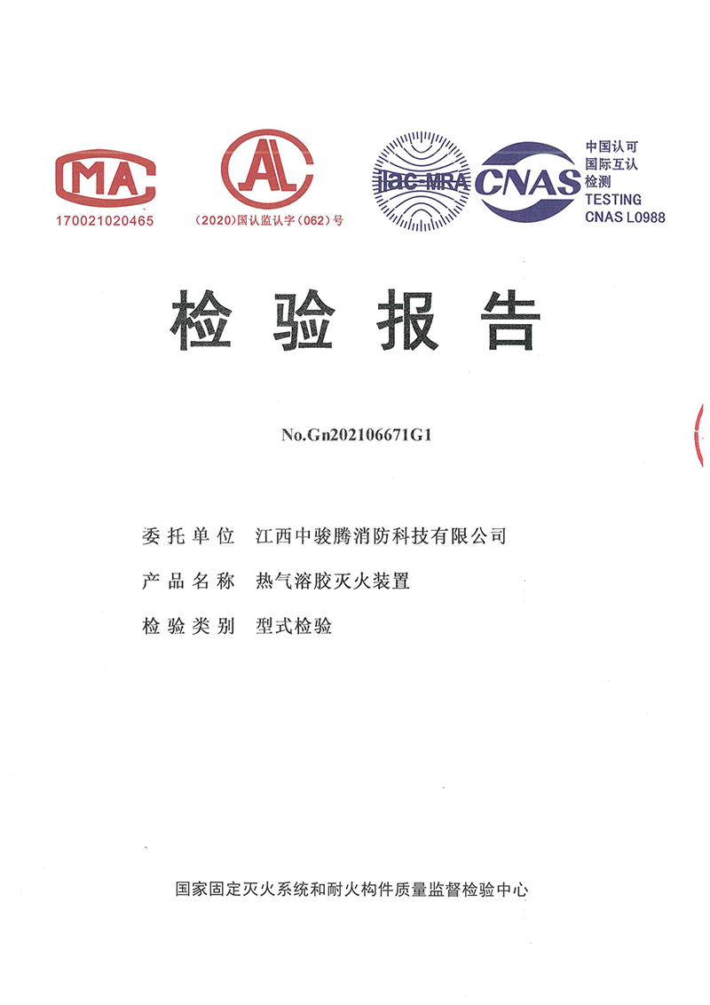 小氣溶膠100g檢測報告-1.jpg